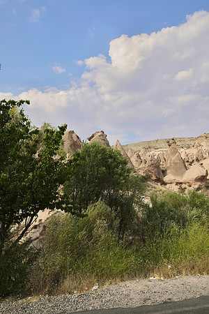 3X8A0269